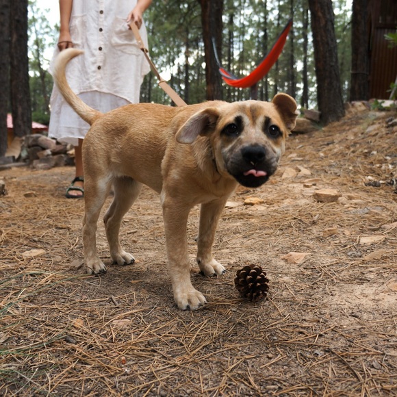 Meet Your Posher! - Picture 8 of 9